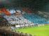 CL-03-OM-NAPLES 01